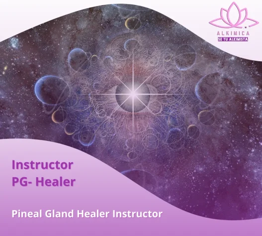 AnyConv.com__Instructor PG Healer (1)