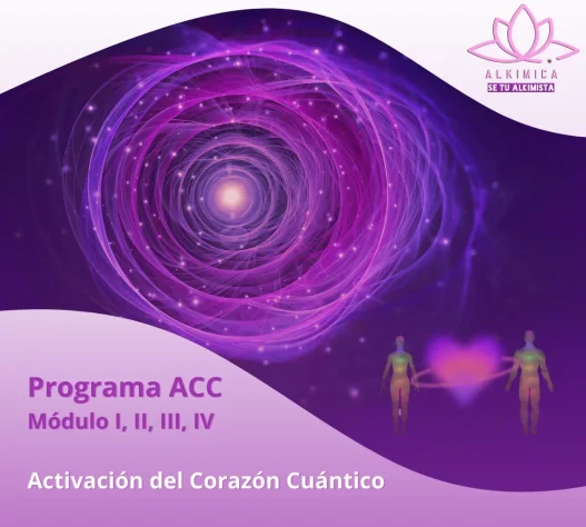 AnyConv.com__Programa ACC (1)