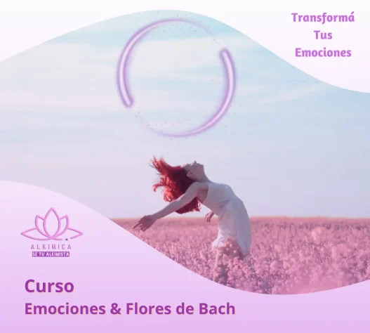 AnyConv.com__transformá tus emociones